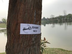 -两河城市森林公园