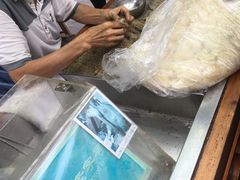 -叶氏麻糍(鼓浪屿店)