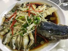 -煲来饱去冷水鱼