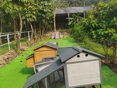 -天下先生态园农庄CS团建露营地(海鸥岛店)