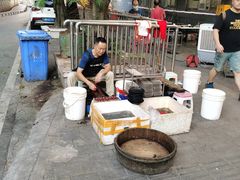 -铜元老码头鳝鱼火锅