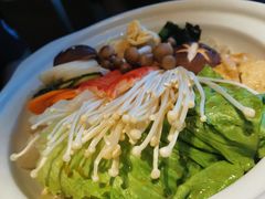 -春草居酒屋·晴子の店