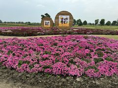-嘉北郊野公园