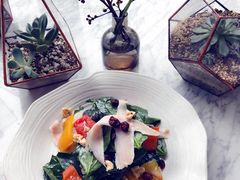 -蝶舍·MAISON PAPILLON