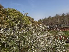 -江滩湿地公园