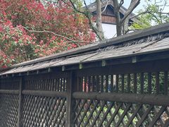 -同里国家湿地公园