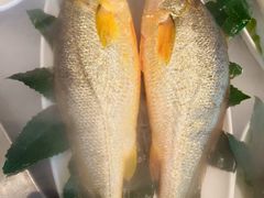 -百富源·海鲜辽菜(张士店)