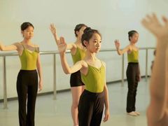 -西安小天鹅艺术团(曲江Alice店)