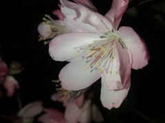 -荆川公园