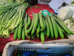 -中国国际会展中心-马甸购物街