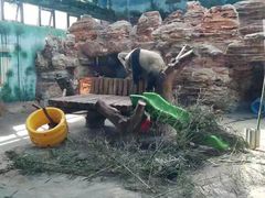 -石家庄市动物园