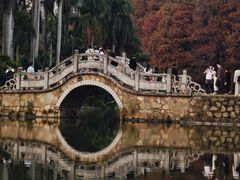 -中国科学院华南植物园