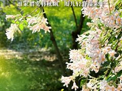 -国家植物园南园