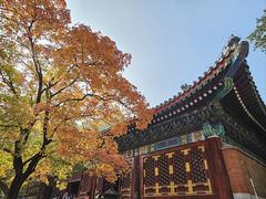 -香山公园