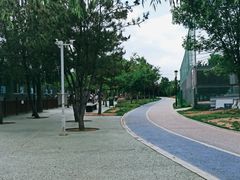 -羊亭河湿地公园