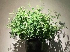 -山里亲戚(淞虹路店)