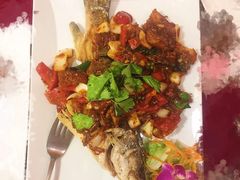-Daddy Nimman Chiang Mai