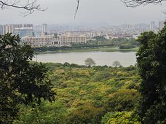 -风云岭森林公园