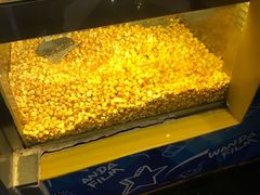 -万达广场(南宁青秀店)