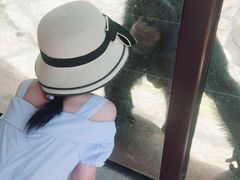 -灵玲国际马戏城
