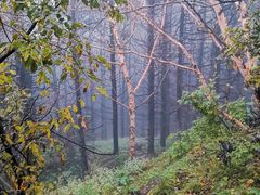 -白草畔自然风景区