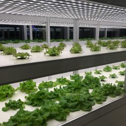 -安利上海体验馆