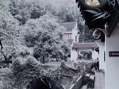 -宋宴(虎跑店)
