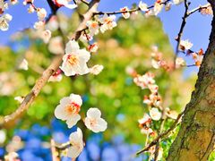 -白马涧龙池景区