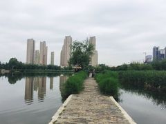 -前关湿地公园
