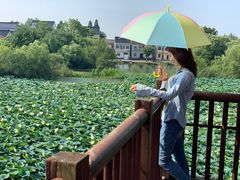-长兴太湖图影湿地文化园