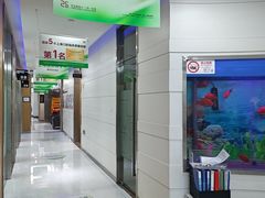 -雅悦齿科(顾村公园店)