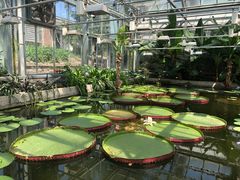 -国家植物园南园