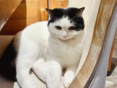 -么么咖啡(燕郊店)