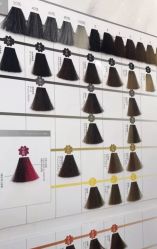 -潘多拉Hairsalon