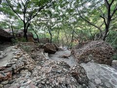 -山叶口景区