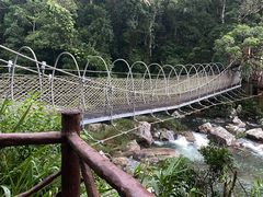 -海南热带雨林国家公园吊罗山景区