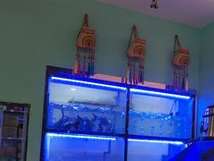 -云中鱼蒸汽石锅鱼(川沙百联店)