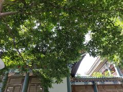 -国家图书馆·古籍馆