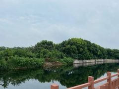 -南汇水蜜桃采摘(大团店)