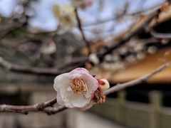 -普陀山风景名胜区-法雨禅寺