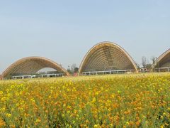 -中国天府农业博览园