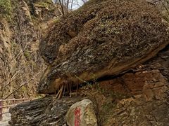 -黑龙潭风景区