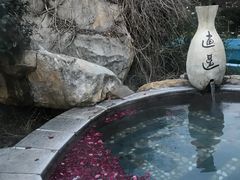 -金孔雀温泉旅游度假村