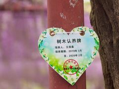 -嘉定紫藤园