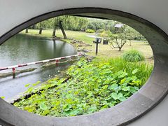 -上海共青森林公园