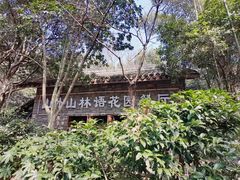 -山外山·林语花园餐厅