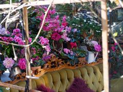 -The Grounds of Alexandria