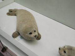 -国家自然博物馆