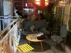 等位区-小时光咖啡馆(北锣鼓巷店)