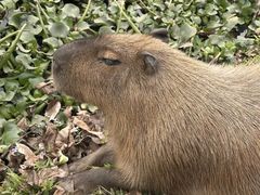 -海南热带野生动植物园
